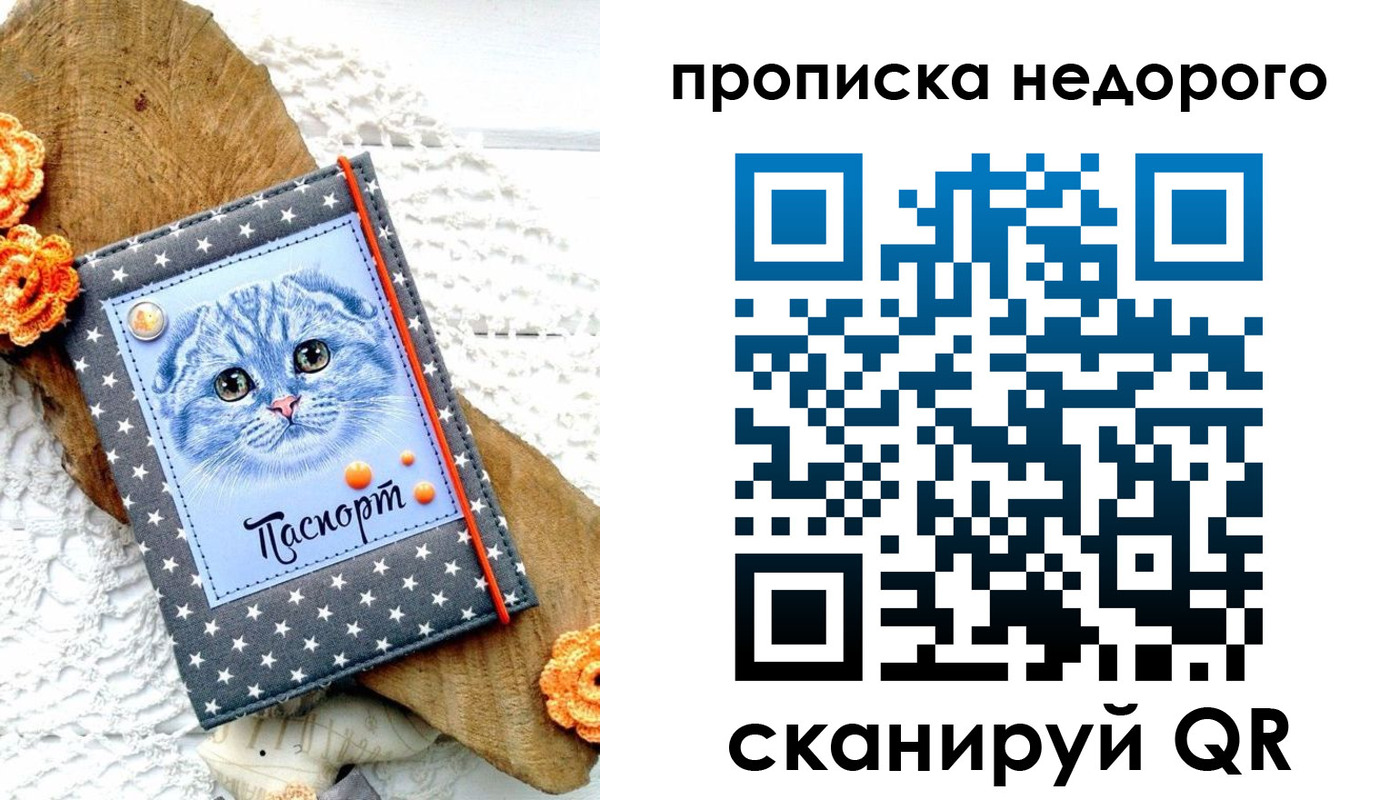 временная регистрация надежно в Шатуре