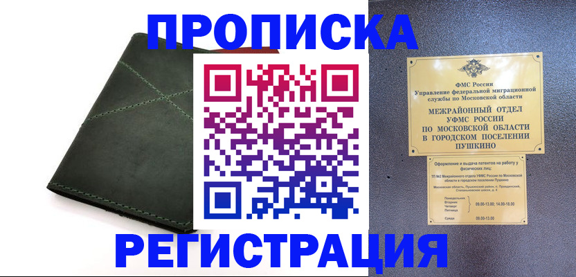 прописка в квартире в Шатуре